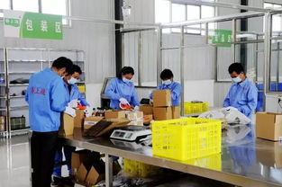 電商筑夢，振興鄉村 徽縣電子商務平臺開發運營助力脫貧攻堅