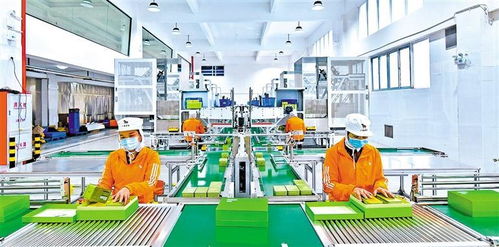 雙輪驅動，服務強區 深圳羅湖構建高效多式聯運服務體系
